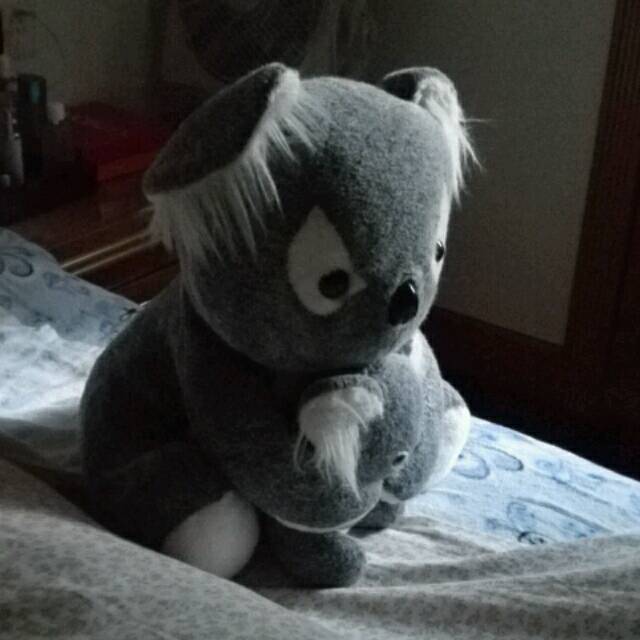 680771 水晶§Koala
