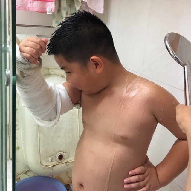 681312 小飞熊