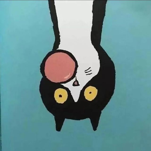 681527 沈莯飞