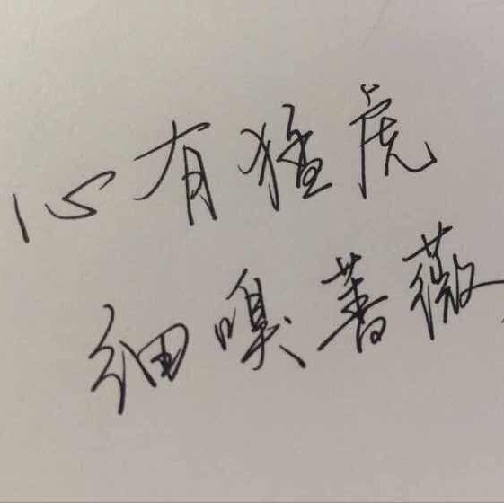 681799 上善若水
