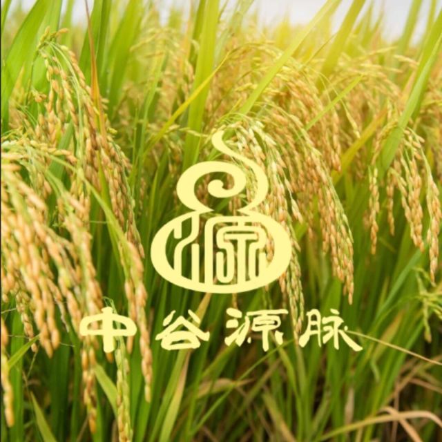 681810 妙正
