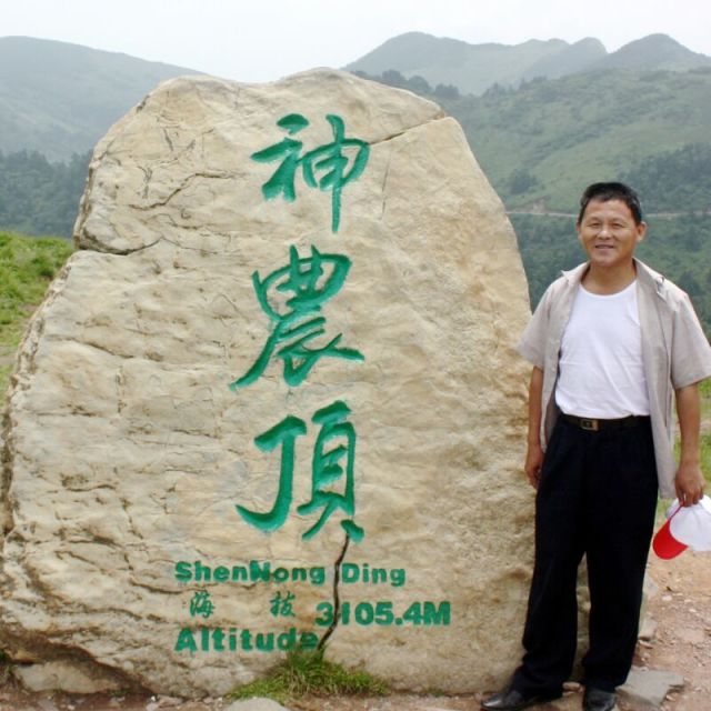 682147 枫林皓月