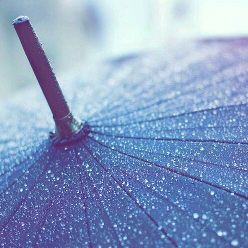 682206 雨谷
