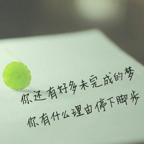 682273 （丁）