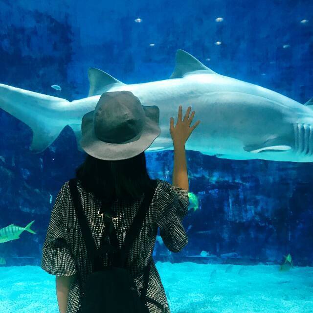 682298 浮生婼夢