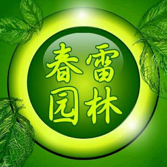 682405 杨凌春雷苗木13571906997