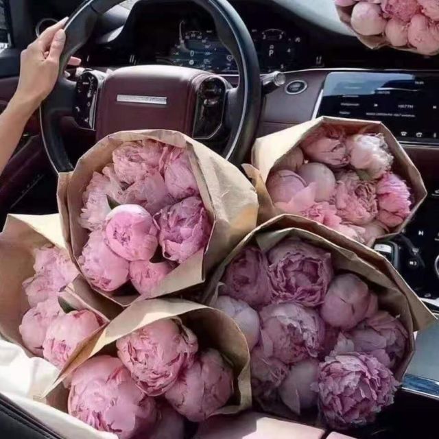 682803 小小小小小ICE