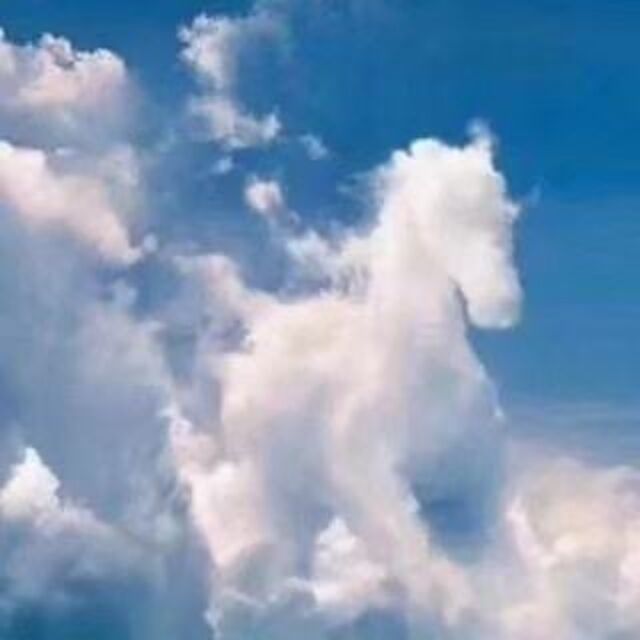 682906 梦想的梦