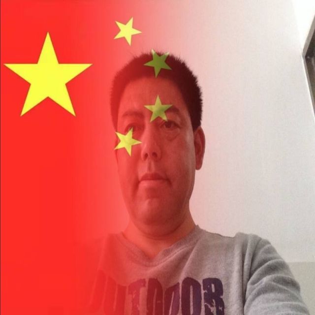 683011 浮世草