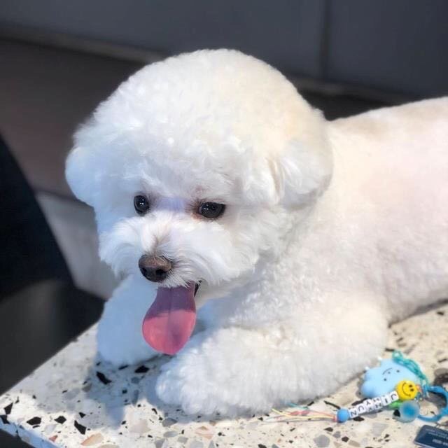 683805 温暖阳光