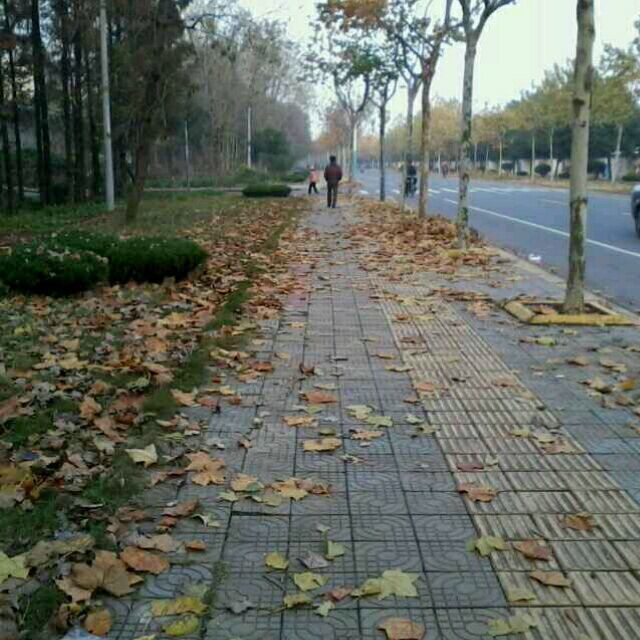 684271 ♪♬林
