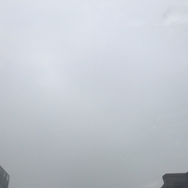 684591 木木