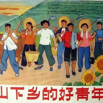 684692 衝上雲霄