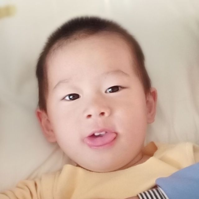 684873 新疆国通快递