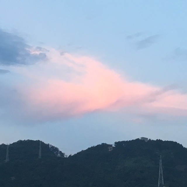 685068 笨笨家族