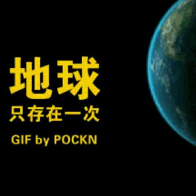 685131 任天涯