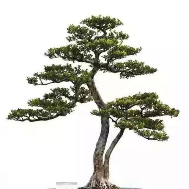 685304 