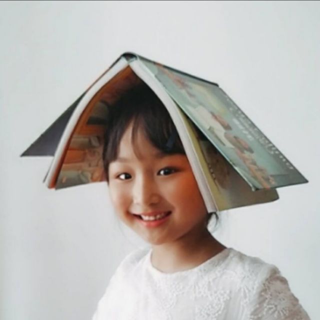 685445 枫纸