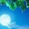 685473 ″浮华回眸ゞ