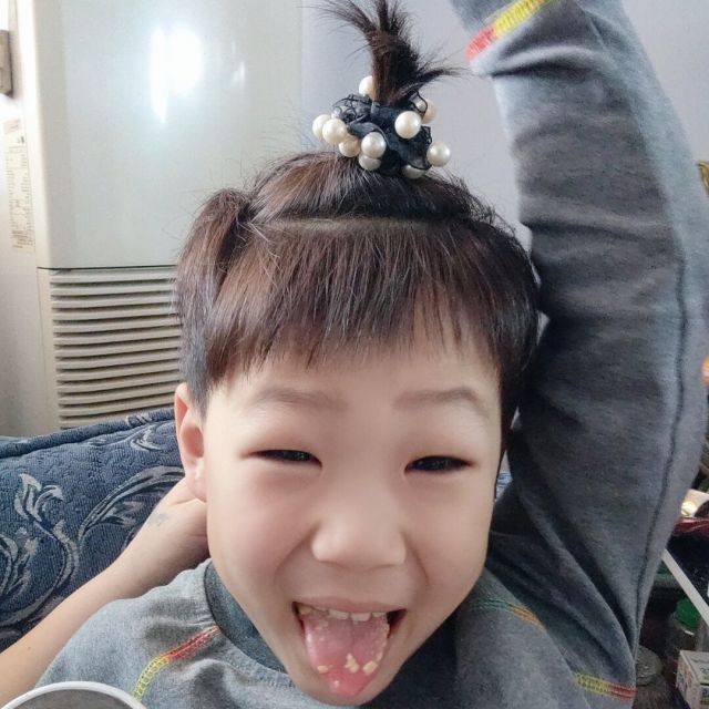 686568 浮世的清风