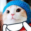687069 喵(]^ω^[)喵