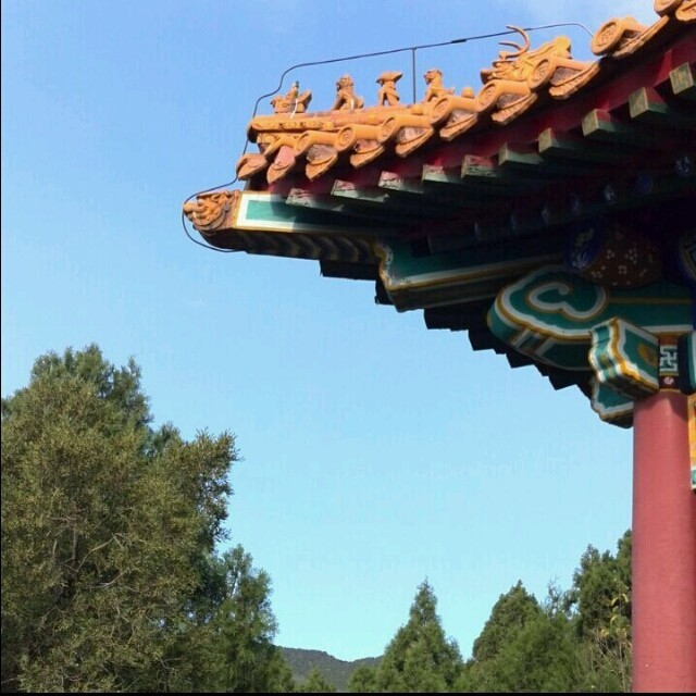 688821 忧郁的Bennnny