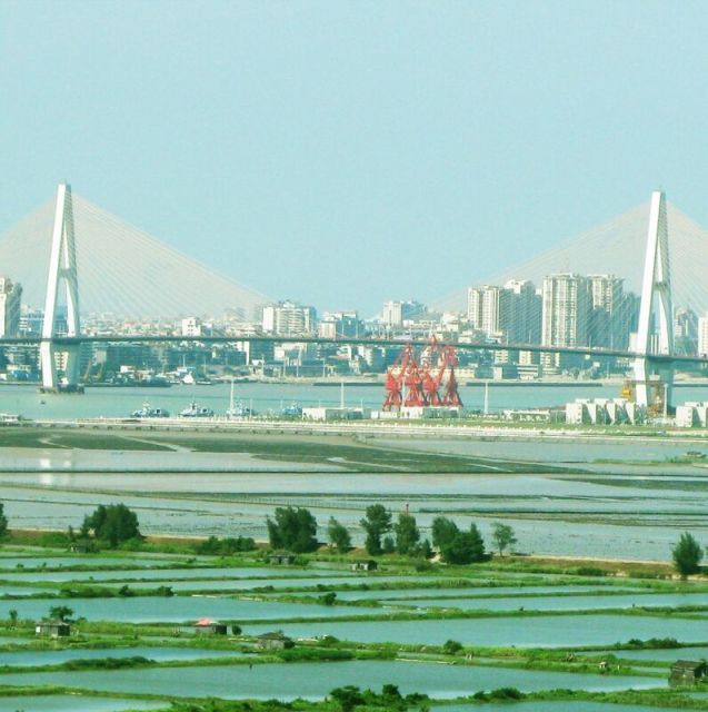 688841 五分-陈伟鑫