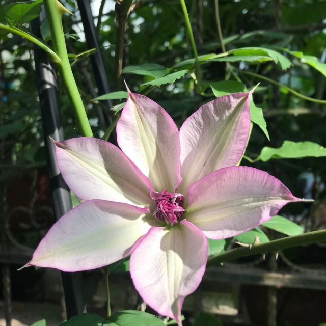 689251 此号勿扰