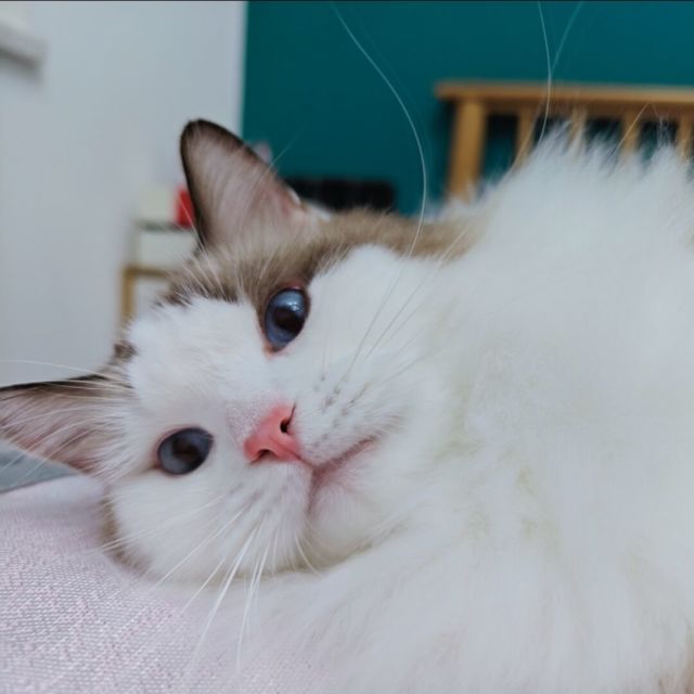 689273 ωんУ﹏﹖