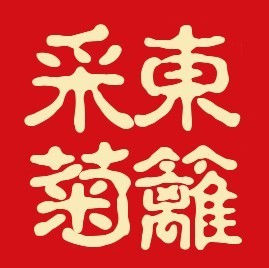690305 东篱采菊