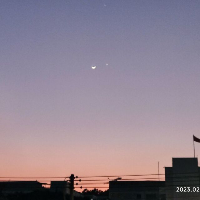 691231 康康