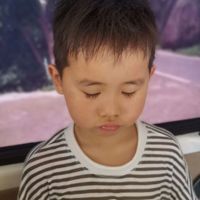 692545 寒号鸟