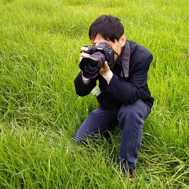 693703 佛山杨扬