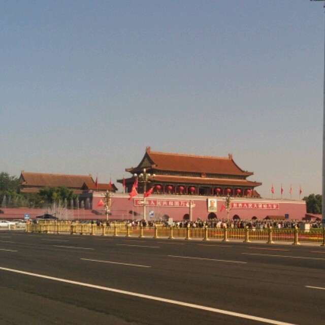 693862 辛巴