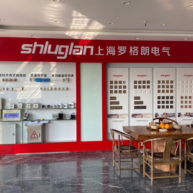 694068 逸飛
