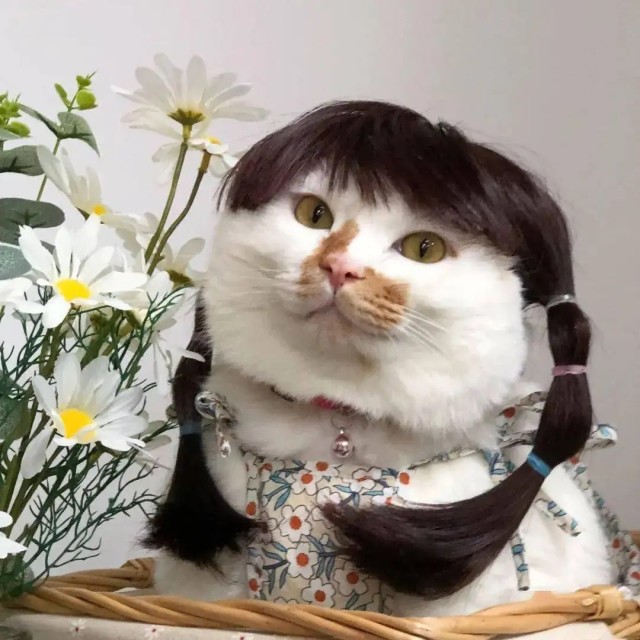 694374 略略略