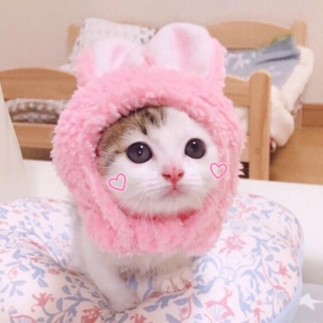 696292 ①個亼ê箛單