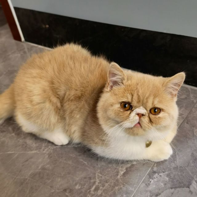 697001 杭州屹拓孟屹飞