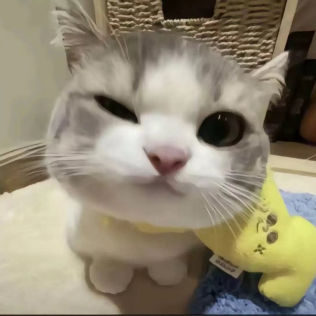 697400 ︶ㄣ灬簡·僾