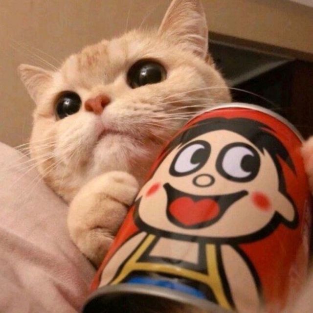 697974 恢复中....