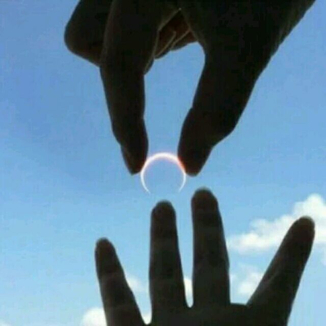 698173 我在嘉禾等你