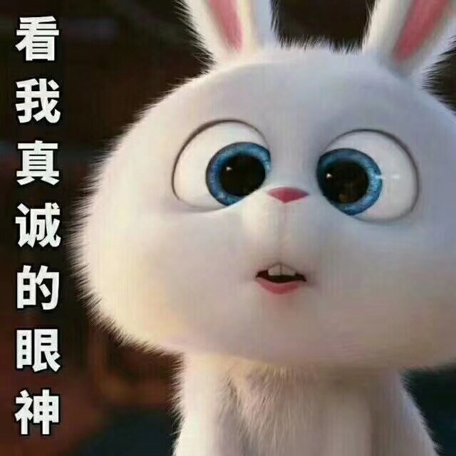 698536 星鸿✔️乾进✔️鸿宇
