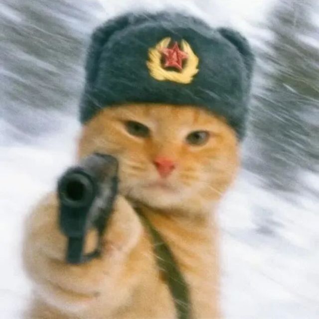 699273 釡