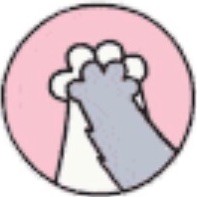 699437 我们