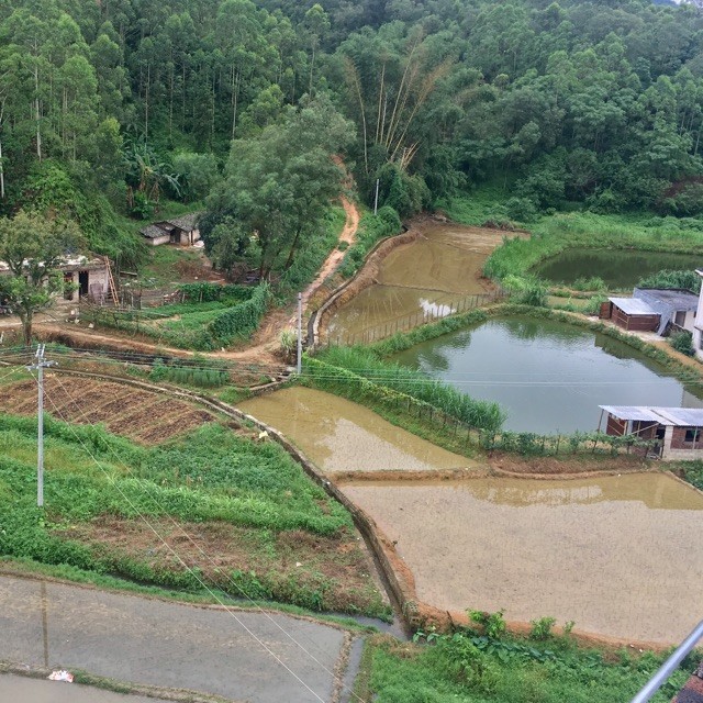 700991 眼角的伤痕
