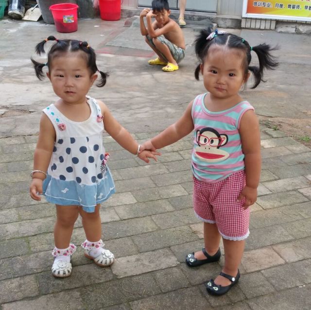 701118 娇子