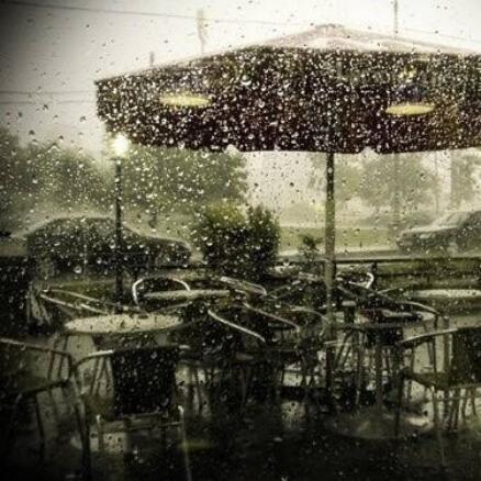701958 风如韵雨轻扬