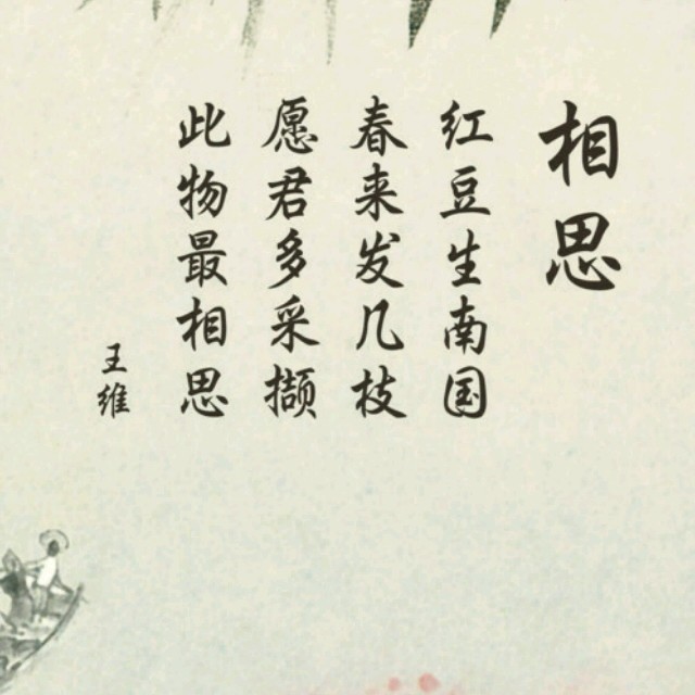 702374 太阳