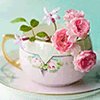 702574 黄花菜