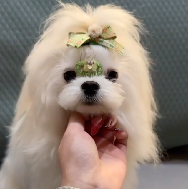 702880 简爱